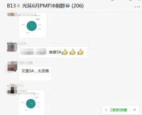pmp学习视频,项目管理知识体系全面解读